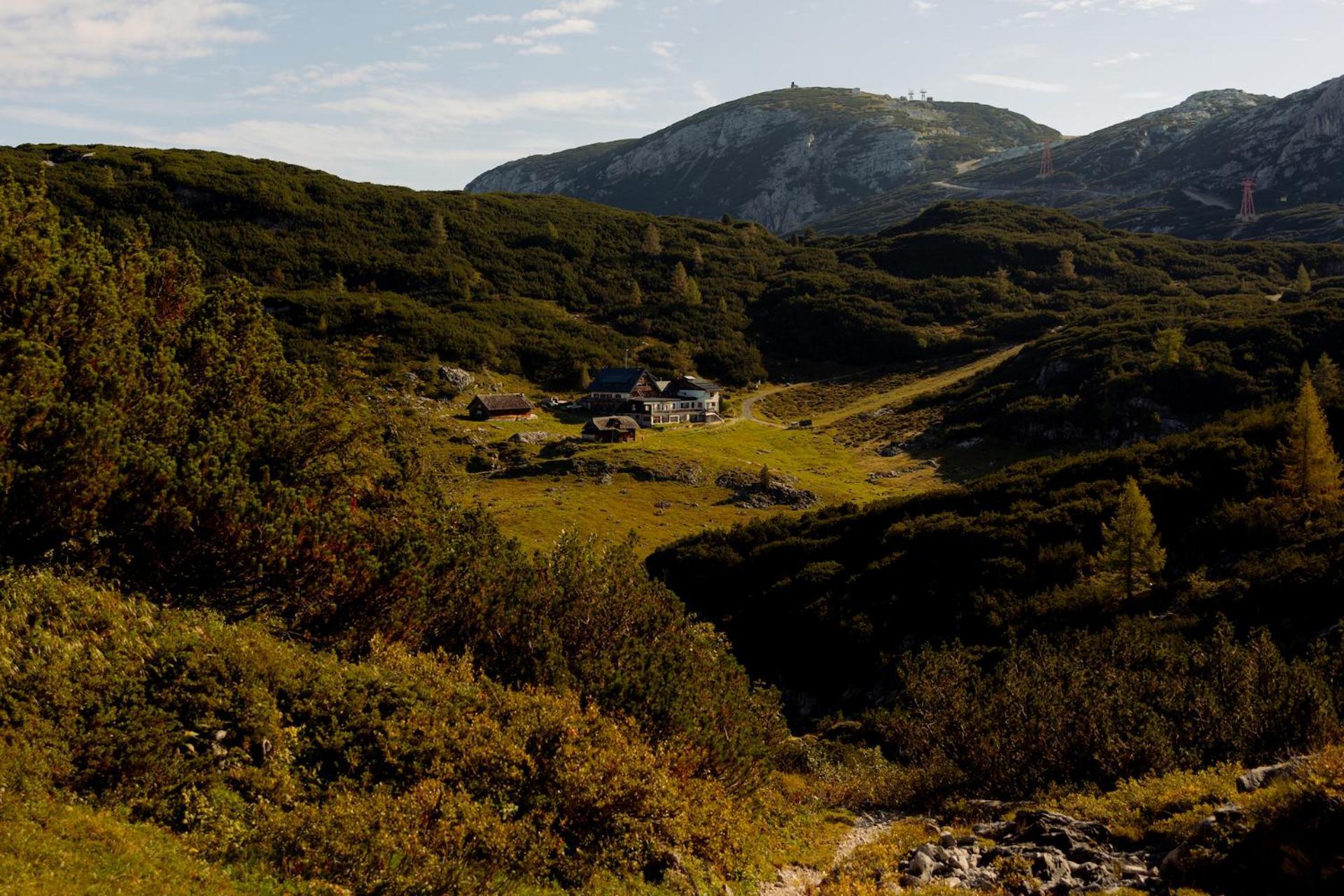 Gjaid-Alm 1738m am Dachstein-Krippenstein Hotel Obertraun Eksteriør billede